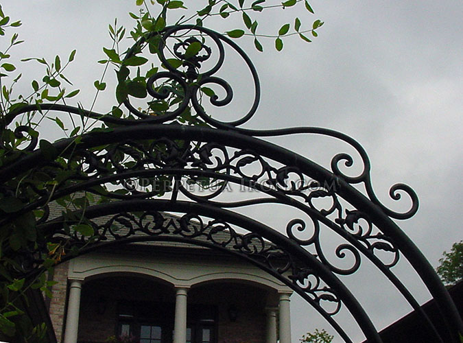 Detail of a decorative iron trellis with plants.